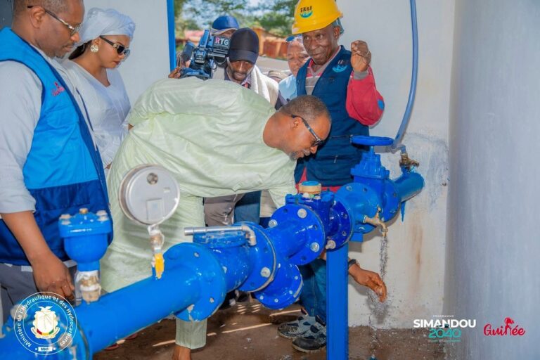 d64a6e82-20da-494a-80fe-dfd824f2e635